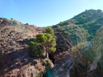 Grupo Mineralógico de Alicante.Sierra de Albatera. Alicante  