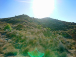 Grupo Mineralógico de Alicante.Sierra de Albatera. Alicante  