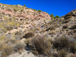 Grupo Mineralógico de Alicante.Sierra de Albatera. Alicante  