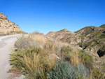 Grupo Mineralógico de Alicante.Sierra de Albatera. Alicante  