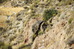 Grupo Mineralógico de Alicante.Los Vives. Orihuela. Alicante