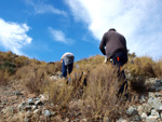 Grupo Mineralógico de Alicante.Los Serranos. Hondón de los Frailes. Alicante 