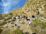 Grupo Mineralógico de Alicante.Los Serranos. Hondón de los Frailes. Alicante 