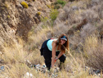 Grupo Mineralógico de Alicante.  Los Vives. Orihuela. Alicante  