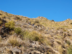 Grupo Mineralógico de Alicante.  Los Vives. Orihuela. Alicante  