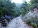 Grupo Mineralógico de Alicante. Explotaciones de arcilla. Inmediaciones Bancal Fondó, Barranc Font del lobo.Tibi , Alicante