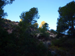 Grupo Mineralógico de Alicante. Explotaciones de arcilla. Inmediaciones Bancal Fondó, Barranc Font del lobo.Tibi , Alicante