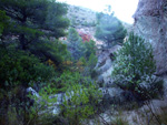 Grupo Mineralógico de Alicante. Explotaciones de arcilla. Inmediaciones Bancal Fondó, Barranc Font del lobo.Tibi , Alicante