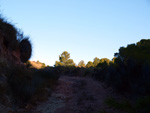 Grupo Mineralógico de Alicante. Explotaciones de arcilla. Inmediaciones Bancal Fondó, Barranc Font del lobo.Tibi , Alicante