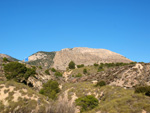 Grupo Mineralógico de Alicante. Explotaciones de arcilla. Inmediaciones Bancal Fondó, Barranc Font del lobo.Tibi , Alicante