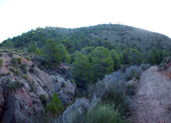 Grupo Mineralógico de Alicante. Explotaciones de arcilla. Inmediaciones Bancal Fondó, Barranc Font del lobo.Tibi , Alicante