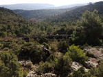 Grupo Mineralógico de Alicante. Minas de la Molatica. Sege. Albacete