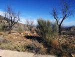 Grupo Mineralógico de Alicante.Minas  de la Molatica. Sege. Albacete 