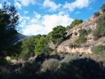 Grupo Mineralógico de Alicante.Los Serranos. Hondón de los Frailes. Alicante 