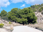 Grupo Mineralógico de Alicante. Explotación de Ofitas. Sierra de Olta. Calpe. Alicante Alicante