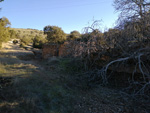 Grupo Mineralógico de Alicante. Mina la Nazarena. Almuradiel. Ciudad Real