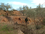 Grupo Mineralógico de Alicante. Trias de Chella. Valencia.  