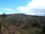 Grupo Mineralógico de Alicante. Trias de Chella. Valencia.  