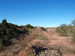 Grupo Mineralógico de Alicante. Trias de Chella. Valencia.  