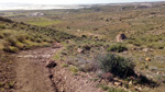 Grupo Mineralógico de Alicante. El Hoyazo. Nijar. Almería   