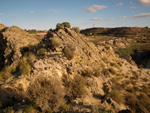 Grupo Mineralógico de Alicante.Embalse de Camarillas. Agramón. Albacete   