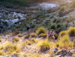 Grupo Mineralógico de Alicante.Yacimiento de Celestina. Ulea. Murcia  