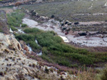 Grupo Mineralógico de Alicante. Yacimiento de Celestina. Ulea. Murcia  