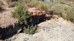 Grupo Mineralógico de Alicante. Los Yesares. Camporrobles. Valencia   