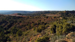 Grupo Mineralógico de Alicante.Los Yesares. Camporrobles. Valencia   