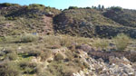 Grupo Mineralógico de Alicante. Keuper de Minglanilla y La Pesquera. Cuenca   