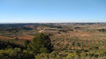 Grupo Mineralógico de Alicante. Keuper de Minglanilla y La Pesquera. Cuenca   