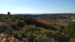 Grupo Mineralógico de Alicante. Keuper de Minglanilla y La Pesquera. Cuenca  