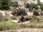 Grupo Mineralógico de Alicante. Afloramiento de Marcasitasa en el Alcavo. Agost. Alicante  