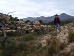 Grupo Mineralógico de Alicante. Afloramiento de Marcasitasa en el Alcavo. Agost. Alicante  