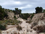 Grupo Mineralógico de Alicante. Afloramiento de Marcasitasa en el Alcavo. Agost. Alicante  