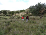 Grupo Mineralógico de Alicante. Afloramiento de Marcasitasa en el Alcavo. Agost. Alicante  