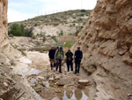 Grupo Mineralógico de Alicante. Afloramiento de Marcasitasa en el Alcavo. Agost. Alicante  