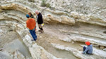 Grupo Mineralógico de Alicante.Afloramiento de Marcasitasa en el Alcavo. Agost. Alicante 