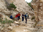 Grupo Mineralógico de Alicante. Afloramiento de Marcasitasa en el Alcavo. Agost. Alicante 