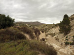 Grupo Mineralógico de Alicante. Afloramiento de Marcasitasa en el Alcavo. Agost. Alicante  