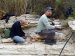 Grupo Mineralógico de Alicante. Afloramiento de Marcasitasa en el Alcavo. Agost. Alicante    