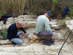 Grupo Mineralógico de Alicante. Afloramiento de Marcasitasa en el Alcavo. Agost. Alicante    