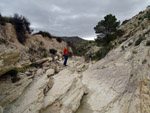 Grupo Mineralógico de Alicante. Afloramiento de Marcasitasa en el Alcavo. Agost. Alicante  