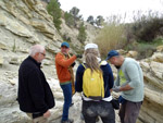 Grupo Mineralógico de Alicante. Afloramiento de Marcasitasa en el Alcavo. Agost. Alicante  