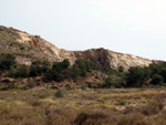 Grupo Mineralógico de Alicante. Antigua explotación de áridos. Serreta Negra. Moralet. Alicante  