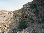 Grupo Mineralógico de Alicante. Antigua explotación de áridos. Serreta Negra. Moralet. Alicante  