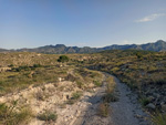 Grupo Mineralógico de Alicante. Els Terrers. Agost. Alicante  