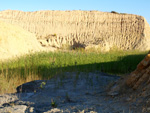 Grupo Mineralógico de Alicante. CExplotaciones de Arcilla. Rambla del Pepior. Agost. Alicante 