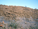 Grupo Mineralógico de Alicante. CExplotaciones de Arcilla. Rambla del Pepior. Agost. Alicante 