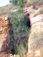 Grupo Mineralógico de Alicante.LAS MINAS DE OCRE DE MUCHAMIEL Y SAN VICENTE  